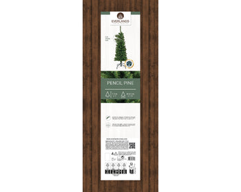120cm Pencil Pine Tree | 680059