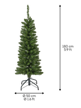 Pencil Pine Tree - Green