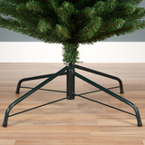 Pencil Pine Tree - Green