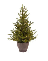 120cm Indoor and Outdoor LED Norway Potted Tree Micro |  680292
