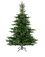 Grandis Fir 5ft Tree│681450