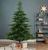 Grandis Fir 5ft Tree│681450