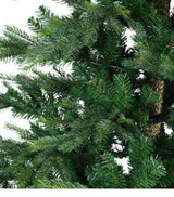 Grandis Fir 5ft Tree│681450