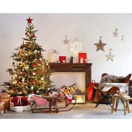 Grandis Fir 7ft Tree│681452