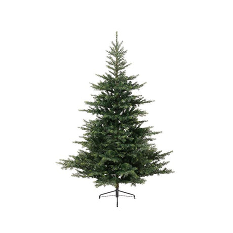Grandis Fir 8ft Tree│681453