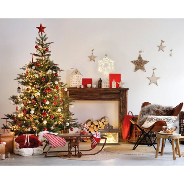 Grandis Fir 6ft Tree│681451