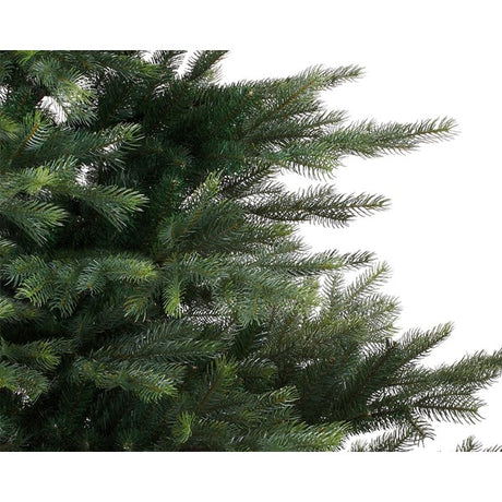 Grandis Fir 8ft Tree│681453