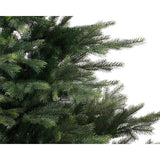 Grandis Fir 6ft Tree│681451