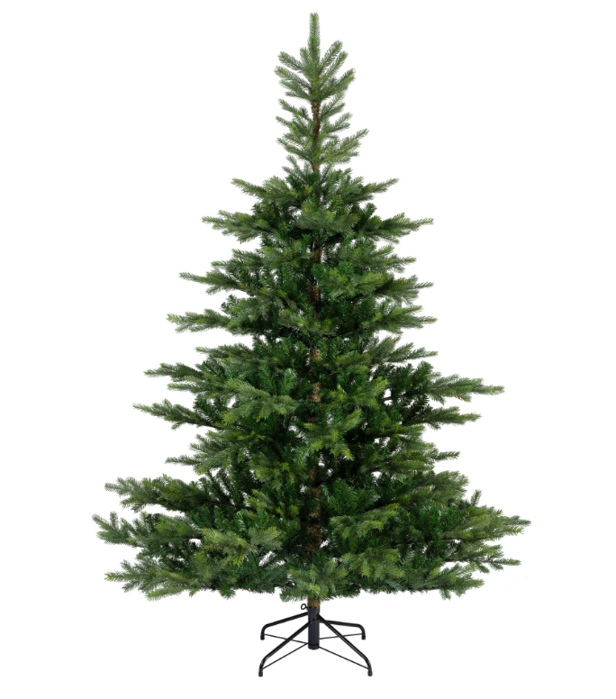 Grandis Fir 10ft Tree | 681454