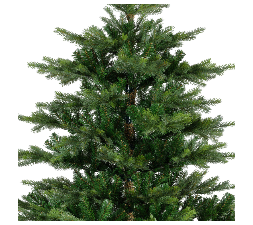 Grandis Fir 10ft Tree | 681454