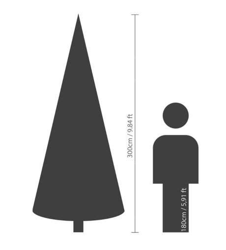 Grandis Fir 10ft Tree | 681454