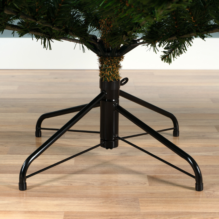 Grandis Fir 10ft Tree | 681454