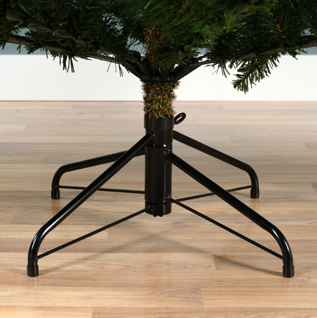 Grandis Fir 10ft Tree | 681454