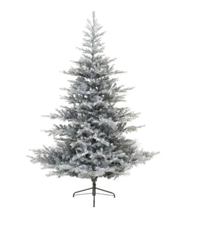 Grandis Fir Frosted 6ft Tree | 681471