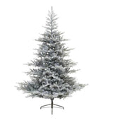 Grandis Fir Frosted 6ft Tree | 681471