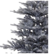 Grandis Fir Frosted 6ft Tree | 681471