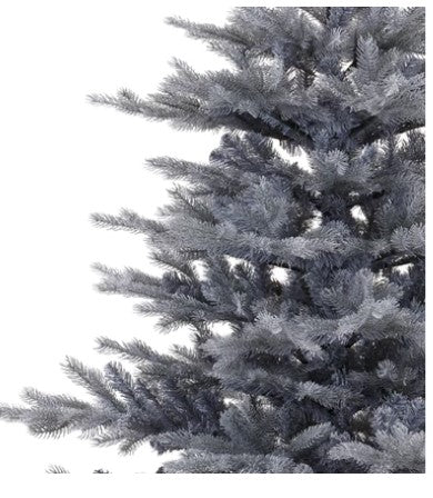 Grandis Fir Frosted 6ft Tree | 681471