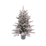 Indoor Grandis Mini Frosted Tree | 681483