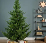 Norway Spruce 7ft Tree |  684815