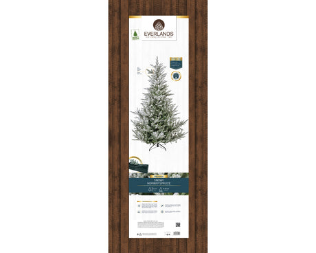 Norway Snowy Spruce 7ft Tree | 684837