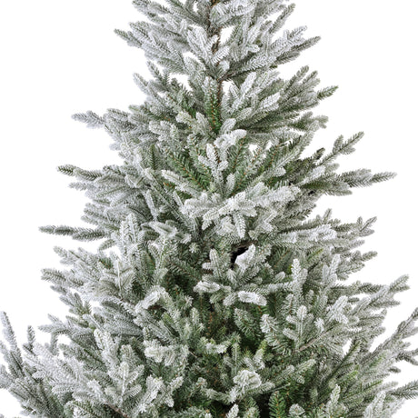 Norway Spruce Snowy 8ft Tree | 684838