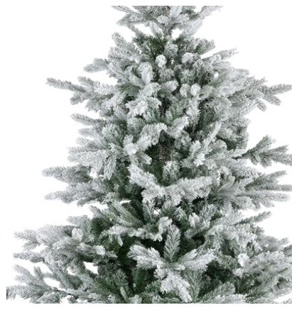 Grandis Fir Snowy 6ft Tree | 689761