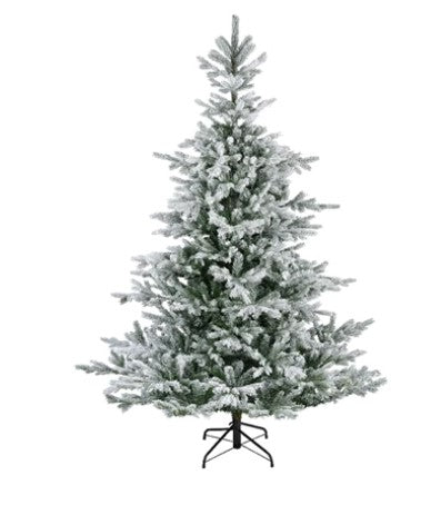 Grandis Fir Snowy 6ft Tree | 689761