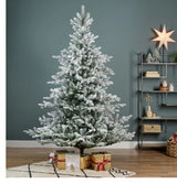 Grandis Fir Snowy 6ft Tree | 689761
