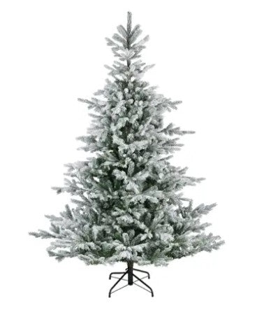 Grandis Fir Snowy 8ft Tree | 689763