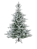 Grandis Fir Snowy 8ft Tree | 689763