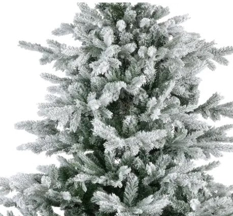 Grandis Fir Snowy 8ft Tree | 689763