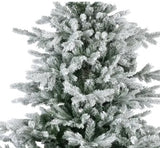 Grandis Fir Snowy 8ft Tree | 689763