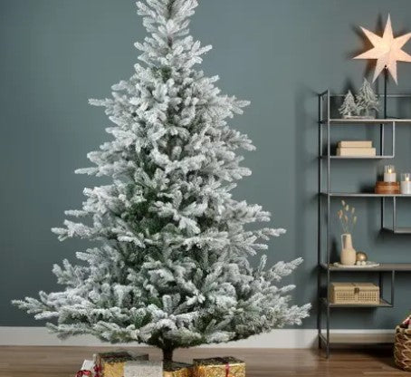 Grandis Fir Snowy 8ft Tree | 689763