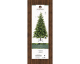 Allison Pine 10ft Tree | 689834