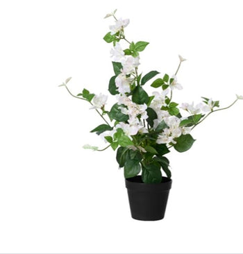 76cm Artificial Bougainvillea in Pot - White | 833567
