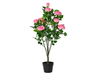 90cm Rose Tree in Pot - Rose Pink | 835089