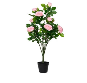 90cm Rose Tree in Pot - Soft Pink | 835090
