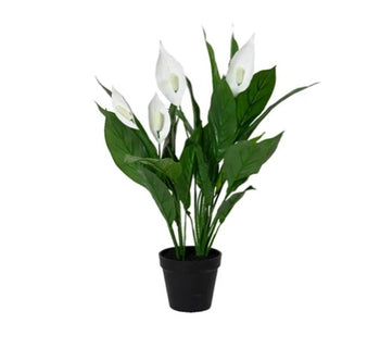 60cm Artificial Peace Lily Plant in Pot | 835094
