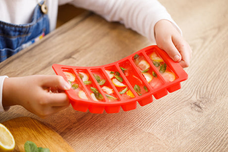 Built Water Bottle Silicone Ice Cube Tray | BLTICTRAY