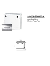 Dual Flush Concealed Cistern Chrome | CPS125CP