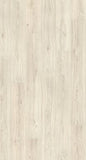 Asgil Large Oak White Laminate Flooring AC4 | EPL153