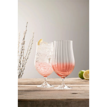 Erne Craft Beer/Cocktail Glass Pair Blush | G322052