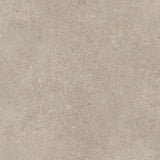 Shellstone Dry