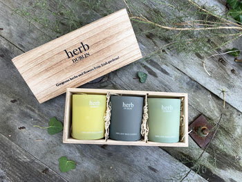 Trio Wood Set - Buttercup Lemongrass Peppermint | HB-TRIO-BLP