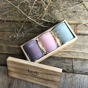 Herb Pastel Trio - Rhubarb Lavender Seasalt | HB-TRIO-PL