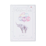 Wrendale Baby Animal Milestone Cards Pack of 24 | LTW-MC001