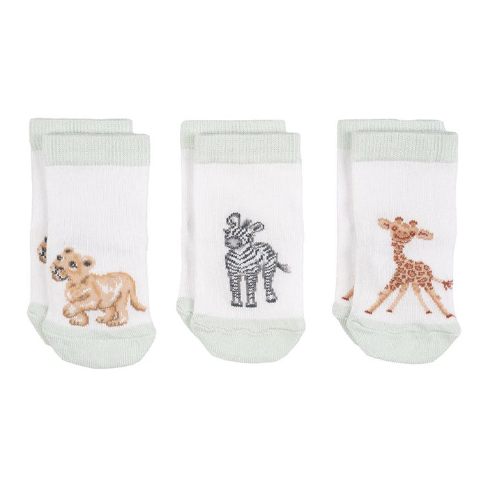 Wrendale Little Savannah African Animal Baby Socks (6-12 months) | LTW-SOCK006