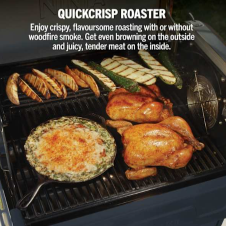 Ninja Flex Flame Outdoor BBQ Cooking System Blue & Gold | PG301UKBL