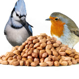 Wild Bird Peanuts 20kg | BPEA20