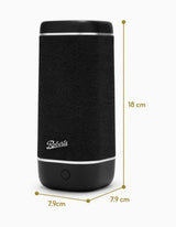 Roberts Reunion Bluetooth Speaker IPX7 - Black | REUNIONBK